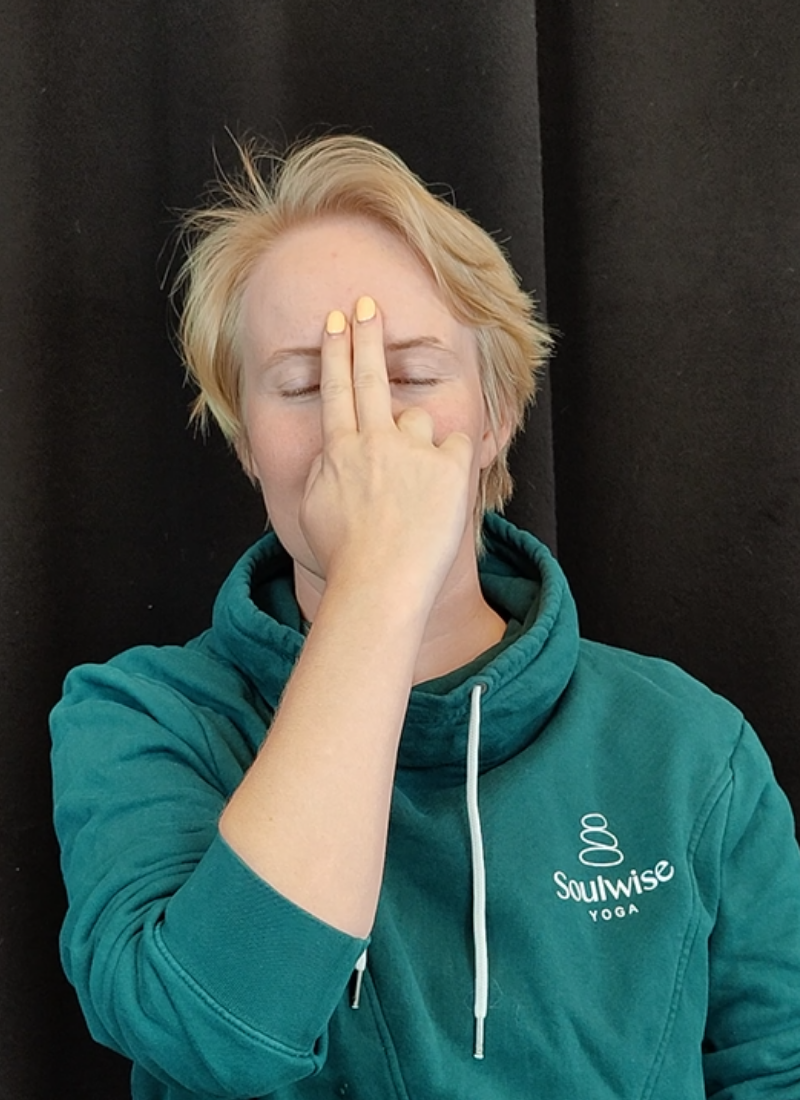 New – Pranayama inspiration