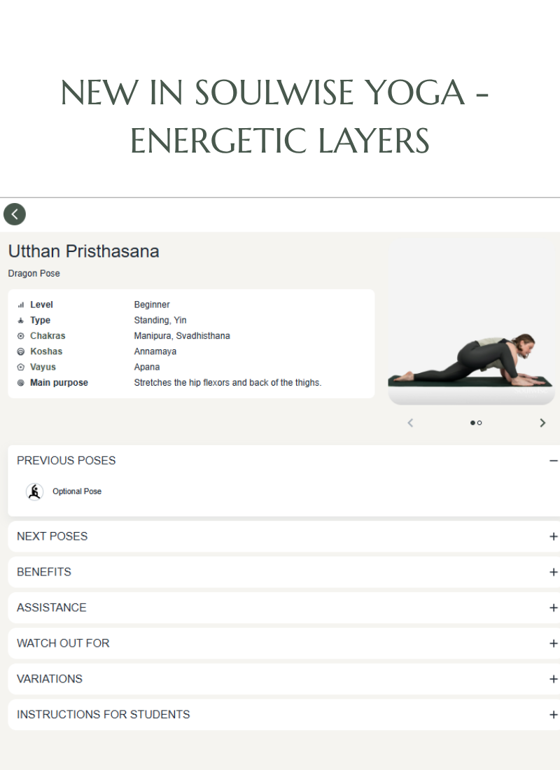 Yoga pose in Soulwise Yoga