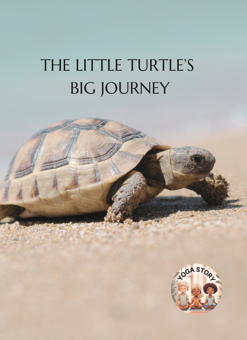 A little turtle on a sandy beach