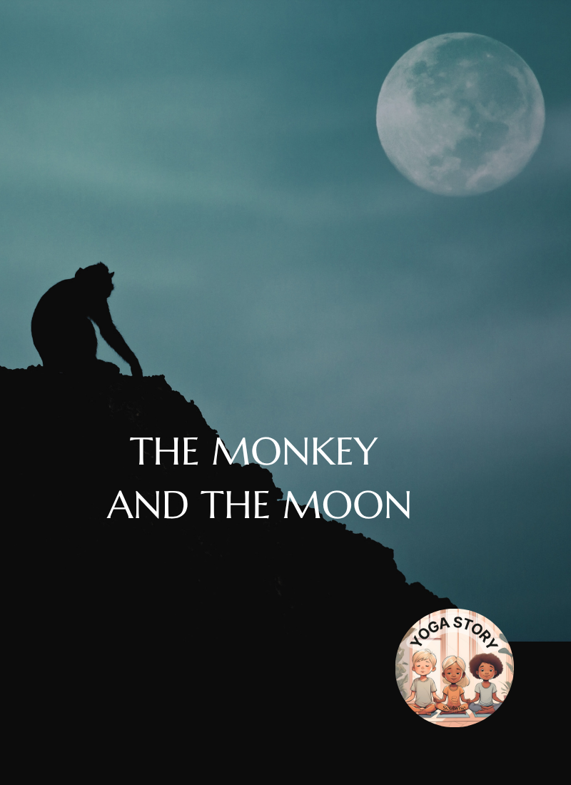 A monkey looking up on the moon