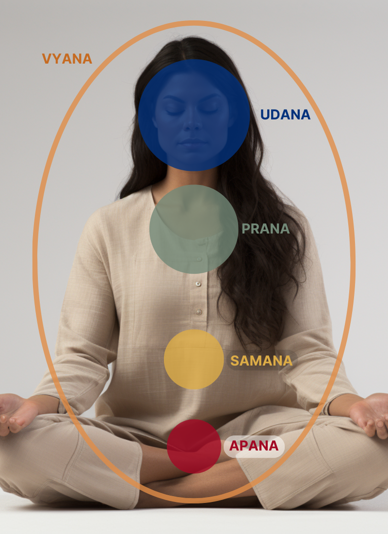 Integrating the five Vayus – a subtle roadmap for energetic balance