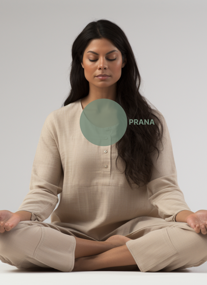 Prana Vayu – The inner wind of life and vitality