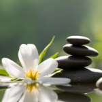 A flower and a cairn by the water.