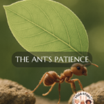 An ant carrying a leaf.